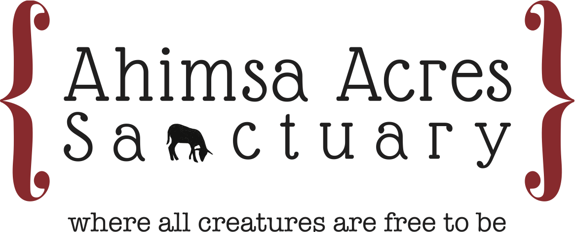 Ahimsa Acres Sanctuary